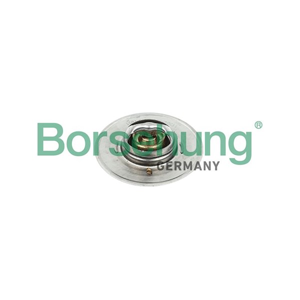 Termostat, kylvätska Borsehung B18247 Borsehung
