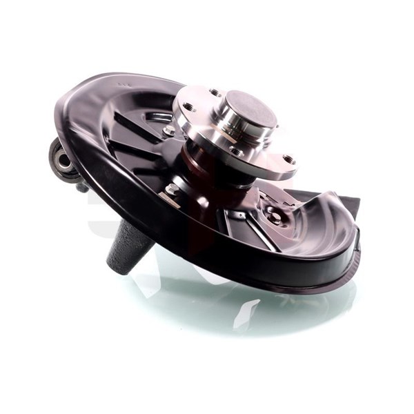 Spindelbult, hjulupphängning, Bakaxel vänster Gh GH-289953V GH