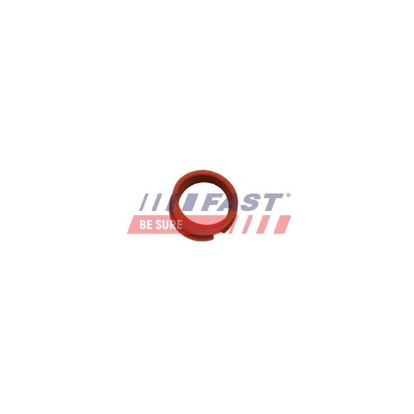 Packning, laddare Fast FT48814 FAST Packning, laddare Fast FT48814 FAST