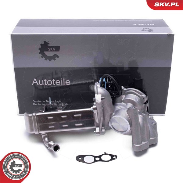 Egr-ventil Esen skv 14SKV238 ESEN SKV