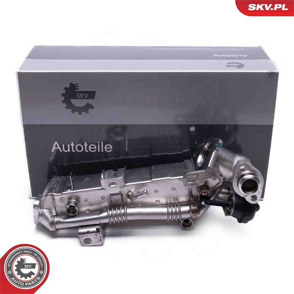 Egr-ventil Esen skv 14SKV239 ESEN SKV