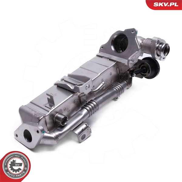 Egr-ventil Esen skv 14SKV239 ESEN SKV
