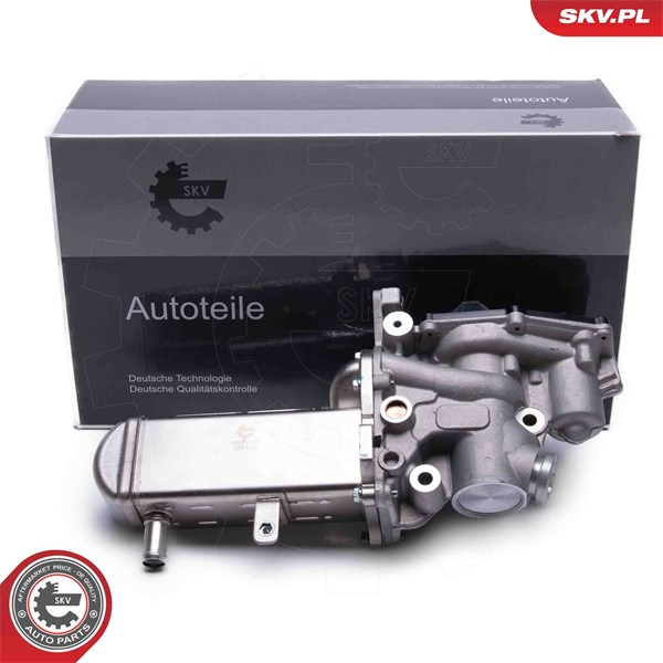 Egr-ventil 12V Esen skv 14SKV241 ESEN SKV