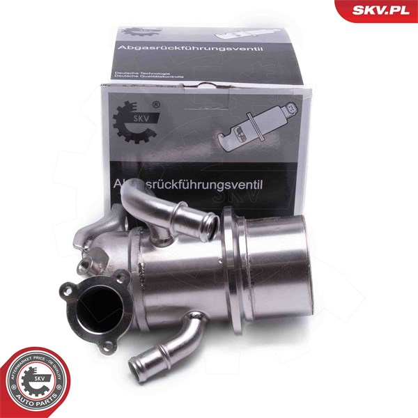 Egr-ventil Esen skv 14SKV243 ESEN SKV