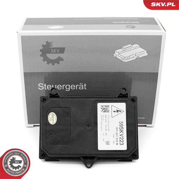 Kontrollenhet, belysning Esen skv 59SKV223 ESEN SKV