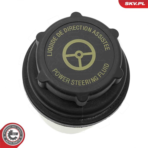 Utjämningskärl, hydraulolja servostyrning Esen skv 61SKV900 ESEN SKV