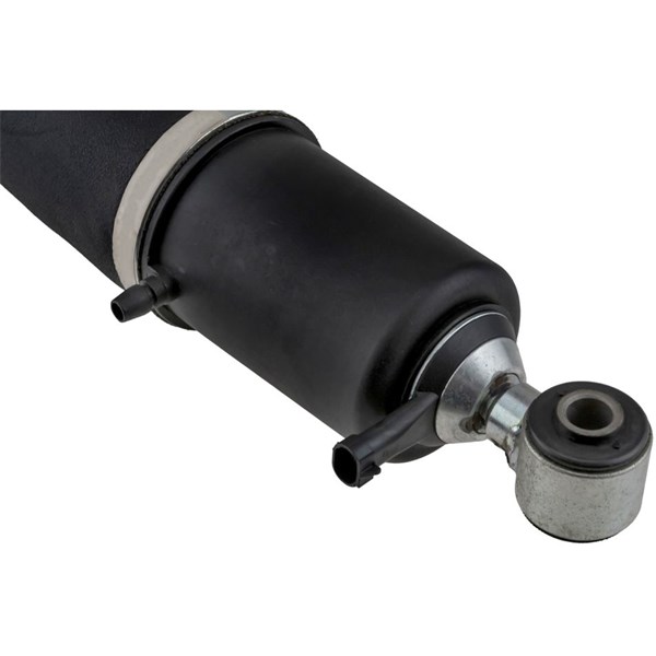 Luftfjäderben, Bakaxel höger, Bakaxel vänster Nty A-CH-013 NTY