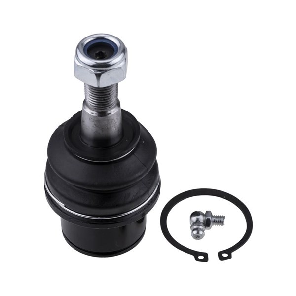Kulled / Spindelled, Nedre framaxel Nty ZSD-CH-042 NTY