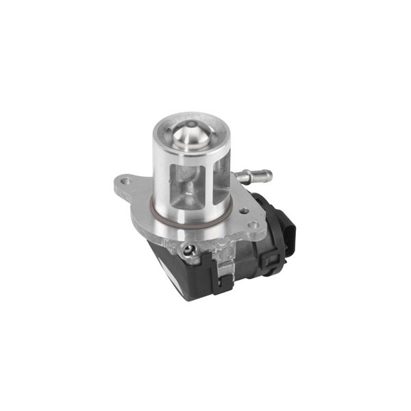 Egr-ventil Borgwarner (wahler) 710095D BorgWarner (Wahler)