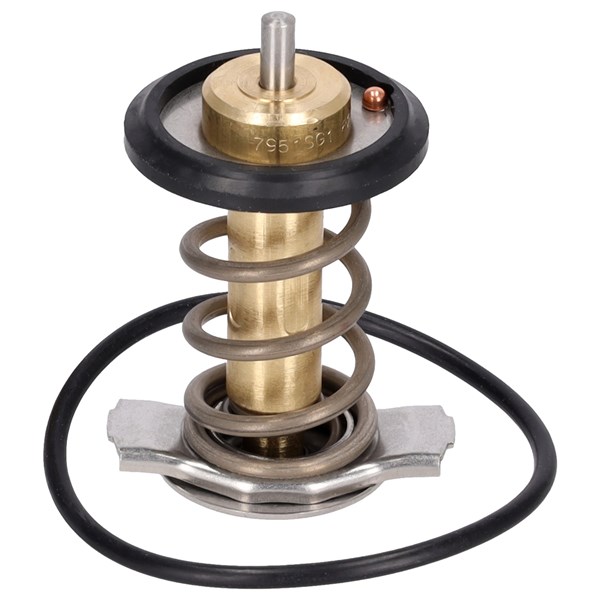 Termostat, kylvätska Febi bilstein 185598 FEBI BILSTEIN