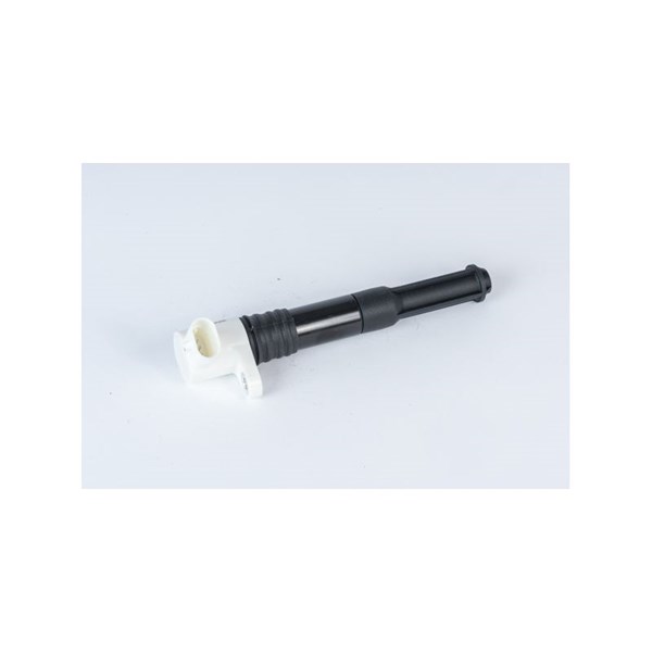 Tändspole 12V Beru ZSE219 BERU