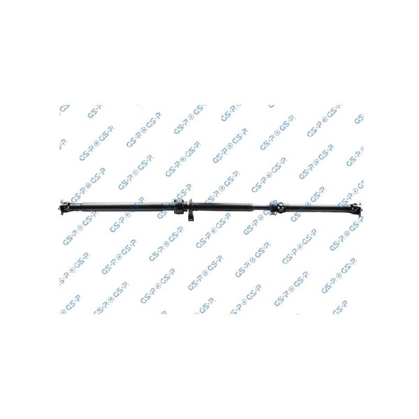 Kardan, Bak Gsp PS900391 GSP