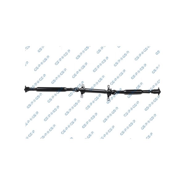 Kardan, Bak Gsp PS901667 GSP
