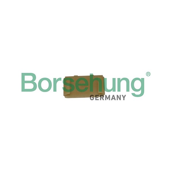 Styrning, Kamaxelkedja Borsehung B1G043 Borsehung