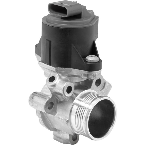 Egr-ventil Borgwarner (wahler) 710753D BorgWarner (Wahler)