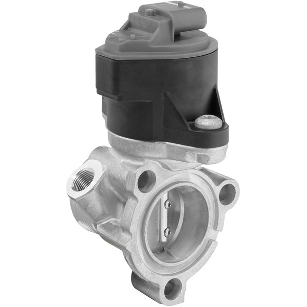 Egr-ventil Borgwarner (wahler) 710795D BorgWarner (Wahler) Egr-ventil Borgwarner (wahler) 710795D BorgWarner (Wahler)