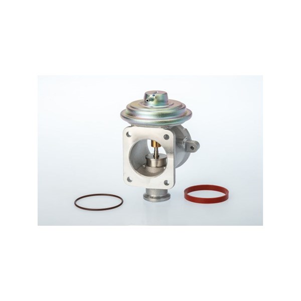 Egr-ventil Borgwarner (wahler) 710924D/1 BorgWarner (Wahler)