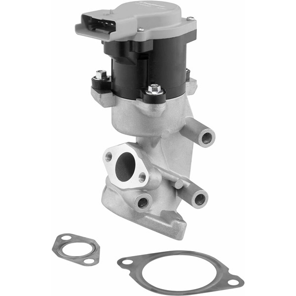 Egr-ventil Borgwarner (wahler) 710984D BorgWarner (Wahler)