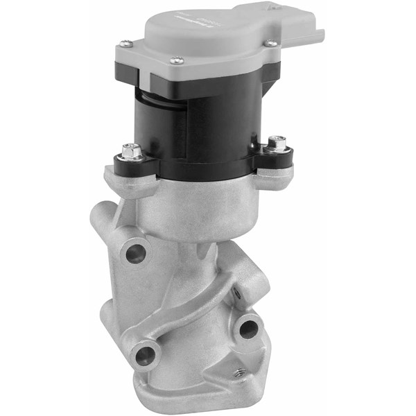 Egr-ventil Borgwarner (wahler) 710984D BorgWarner (Wahler) Egr-ventil Borgwarner (wahler) 710984D BorgWarner (Wahler)