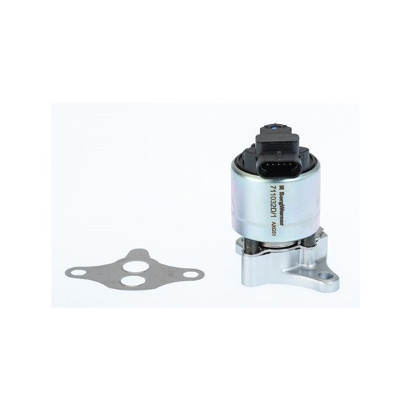Egr-ventil Borgwarner (wahler) 711032D/1 BorgWarner (Wahler)