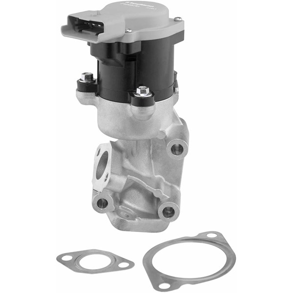 Egr-ventil, Bak, Fram, Vänster Borgwarner (wahler) 712057D BorgWarner (Wahler)