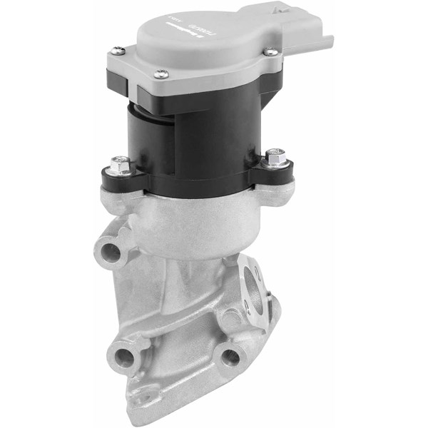 Egr-ventil, Bak, Fram, Vänster Borgwarner (wahler) 712057D BorgWarner (Wahler) Egr-ventil, Bak, Fram, Vänster Borgwarner (wahler) 712057D BorgWarner (Wahler)