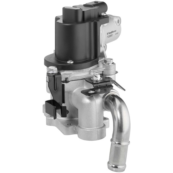 Egr-ventil Borgwarner (wahler) 712088D BorgWarner (Wahler)