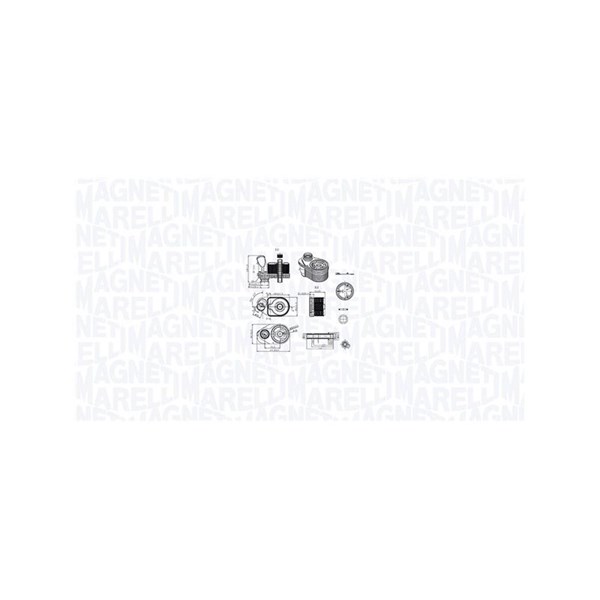 Oljekylare, motor Magneti marelli 350300001100 MAGNETI MARELLI