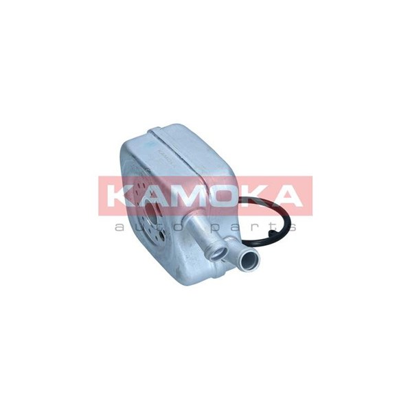 Oljekylare, motor