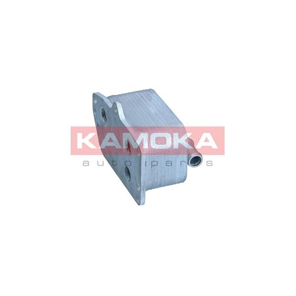 Oljekylare, motor