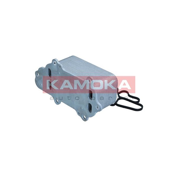 Oljekylare, motor
