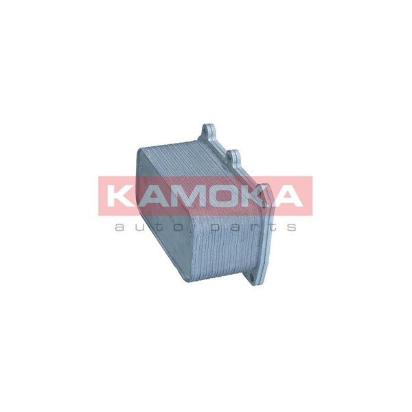 Oljekylare, motor