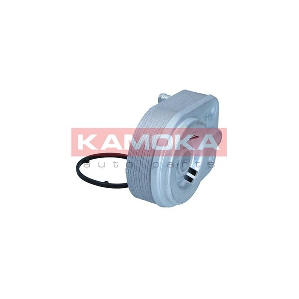 Oljekylare, motor