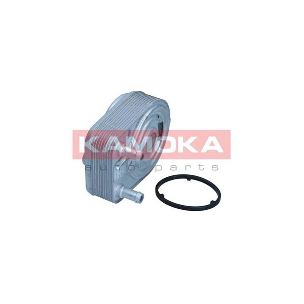 Oljekylare, motor