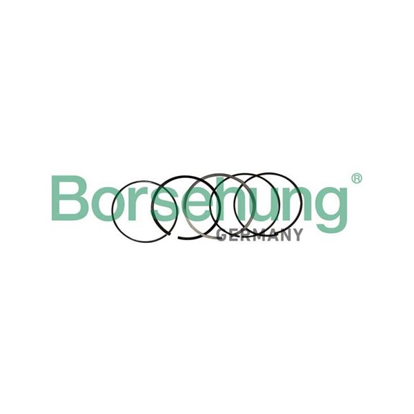 Kolvringar, kit Borsehung B10369 Borsehung
