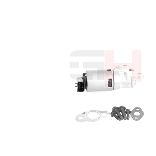 Egr-ventil Gh GH-739321 GH