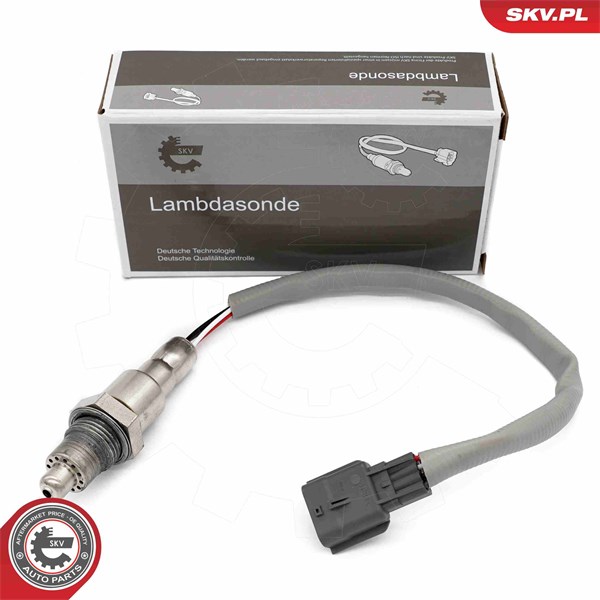 Lambdasond Esen skv 09SKV166 ESEN SKV