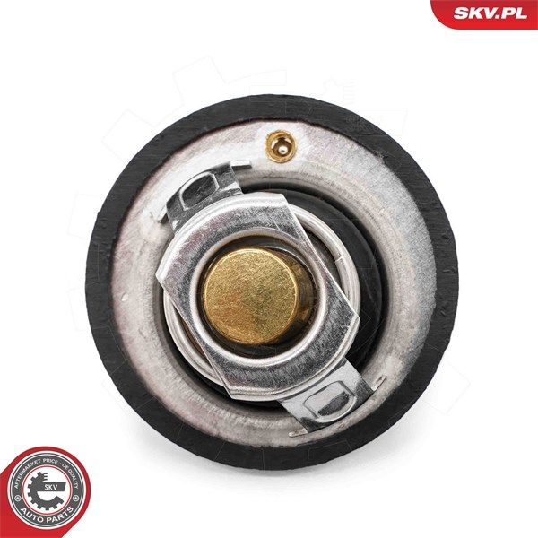 Termostat, kylvätska Esen skv 20SKV218 ESEN SKV