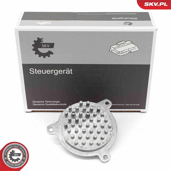 Kontrollenhet, belysning Esen skv 59SKV254 ESEN SKV