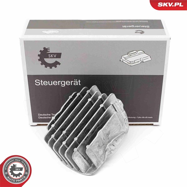 Kontrollenhet, belysning, Höger Esen skv 59SKV259 ESEN SKV