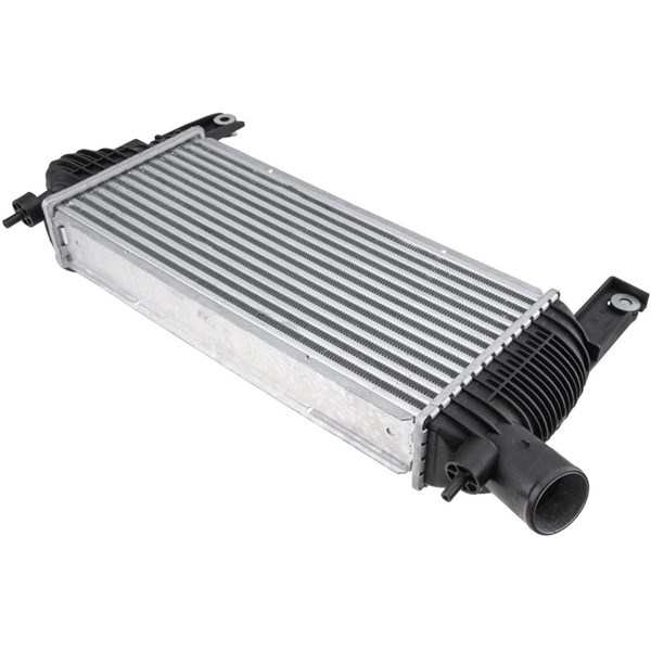 Intercooler Nty CNG-NS-001 NTY