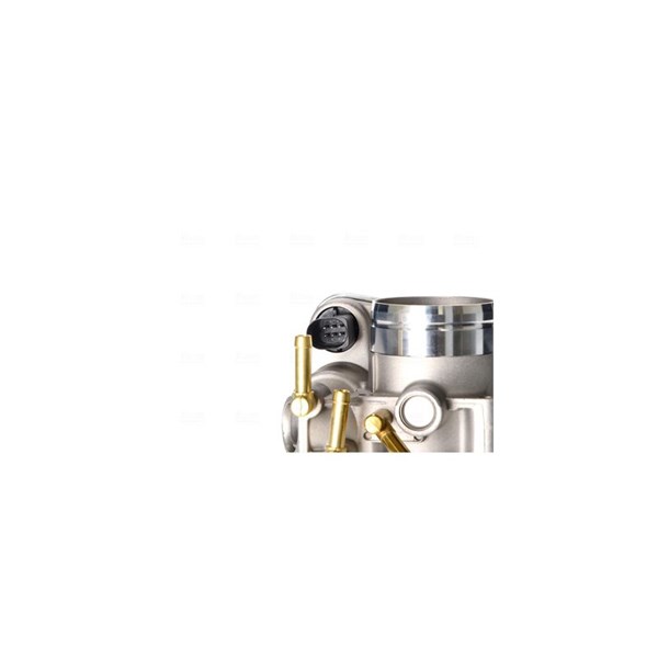 Gasspjäll/Spjällhus 12V Nissens 955061 NISSENS