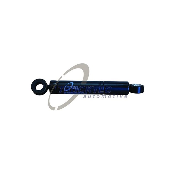 Vibrationsdämpare, drivrem Trucktec automotive 02.19.241 TRUCKTEC AUTOMOTIVE