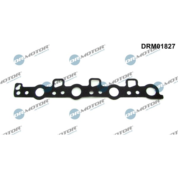 Tätning, kamaxel-låslock Dr.motor automotive DRM01827 Dr.Motor Automotive