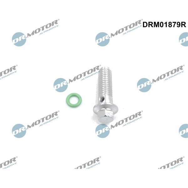 Rep.sats, oljepump Dr.motor automotive DRM01879R Dr.Motor Automotive