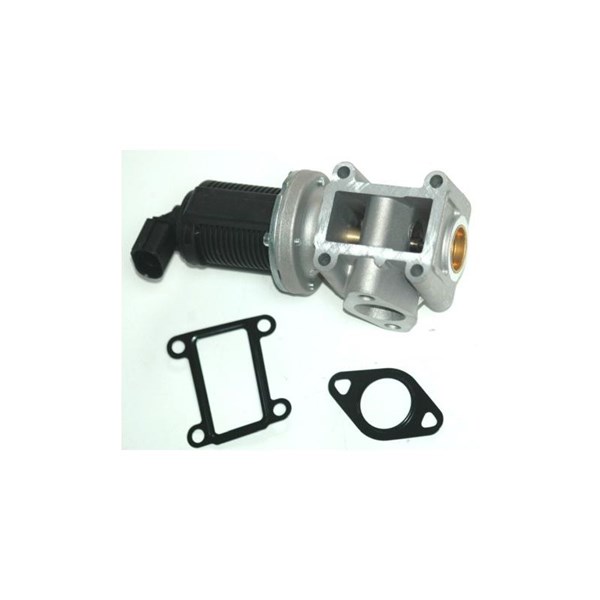 Egr-ventil 12V