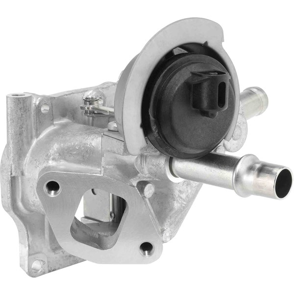 Egr-ventil Borgwarner (wahler) 710532D0 BorgWarner (Wahler)