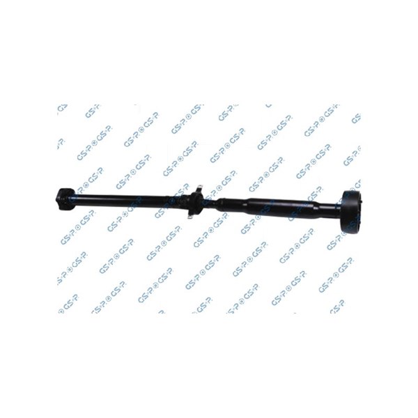 Kardan, Bak Gsp PS900126 GSP