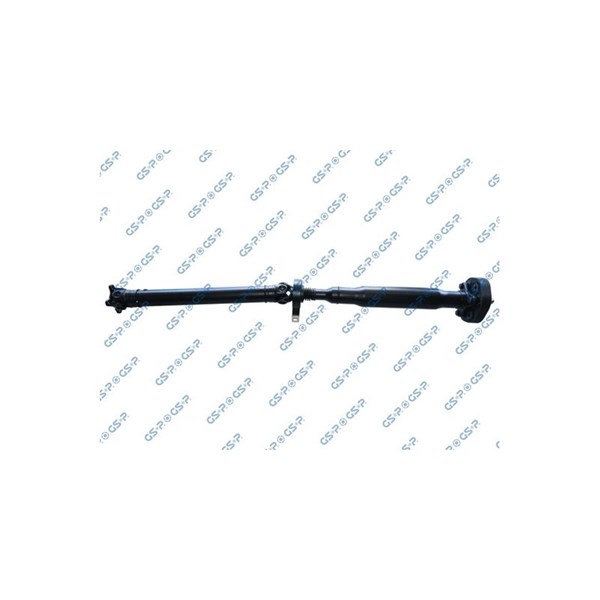 Kardan, Bak Gsp PS900156 GSP