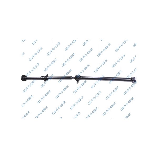 Kardan, Bak Gsp PS900392 GSP